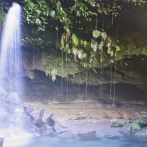 Meet your Posher, Arlanda